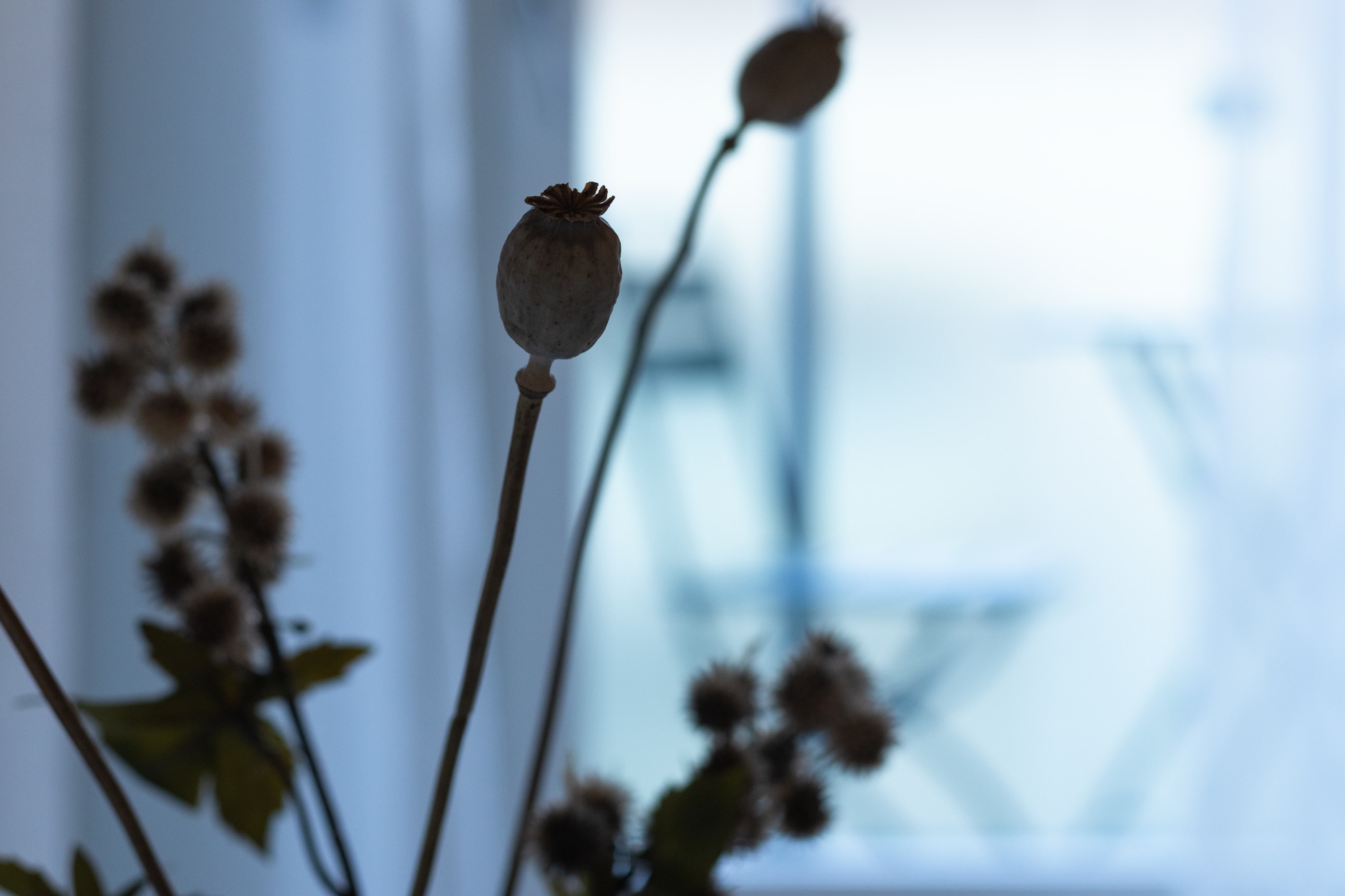 Dettaglio decorativo