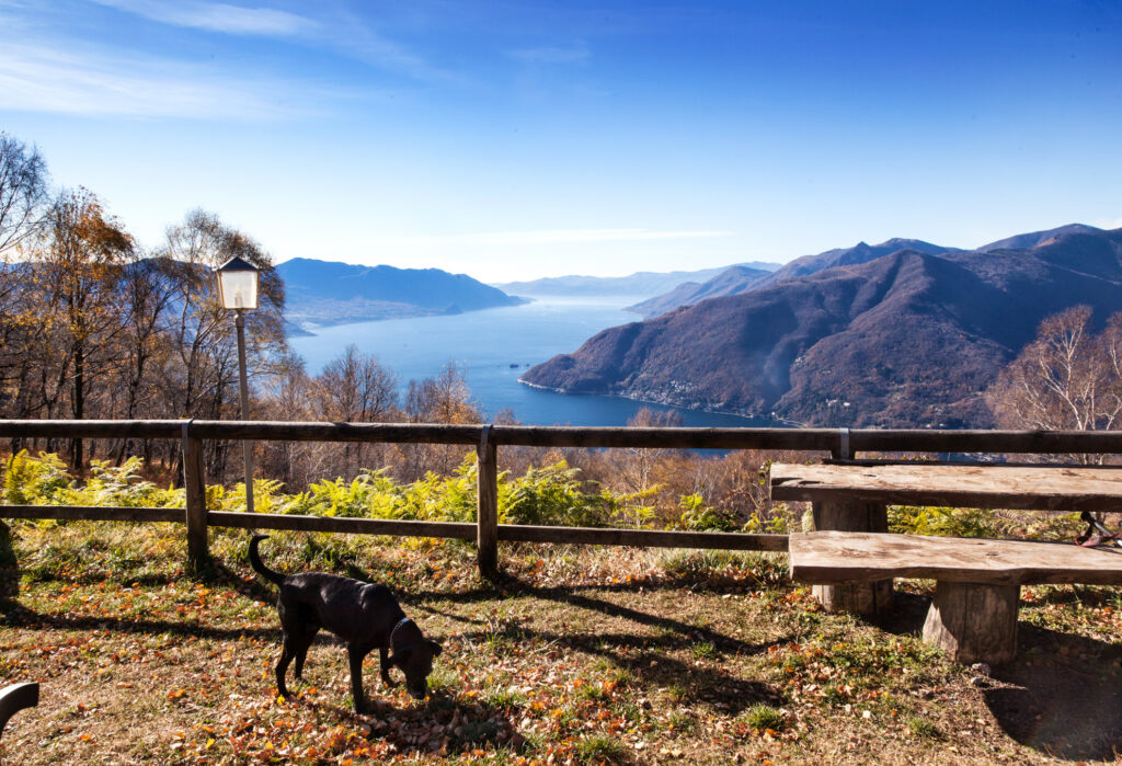 Lago Maggiore a Maccagno