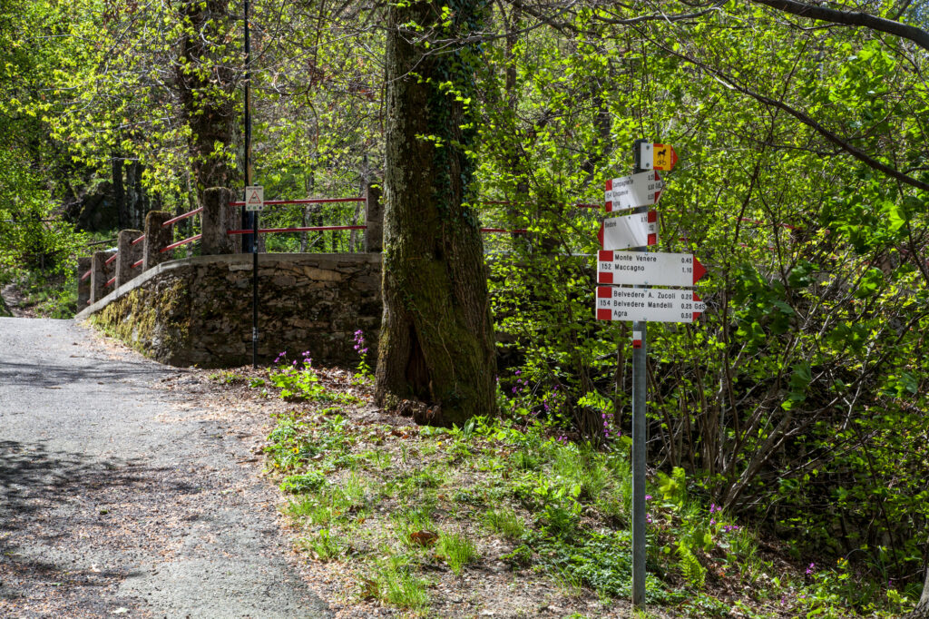 Paesaggio montano sopra Maccagno